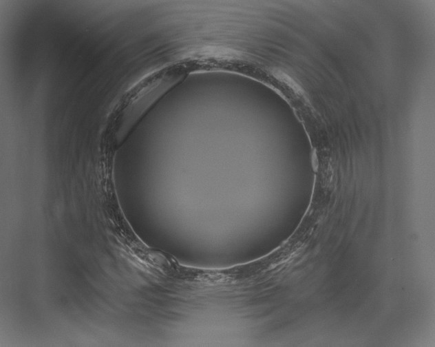 X0000076381112200610061117