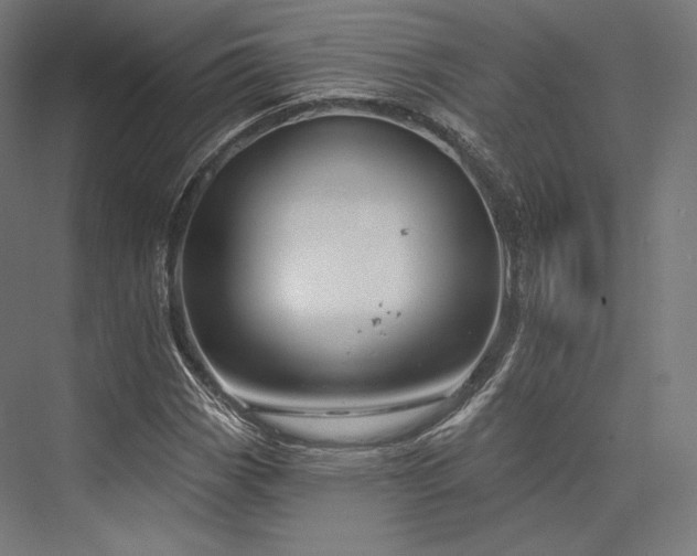 X0000076381113200610061117