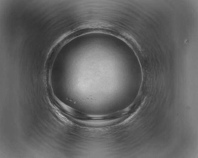 X0000076381114200610061117