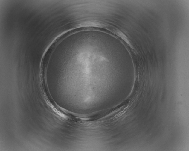 X0000076381116200610061117