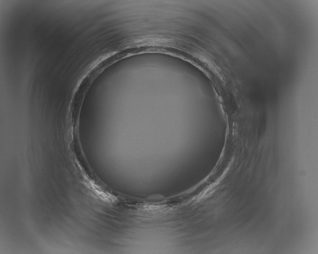 X0000076381117200610061117