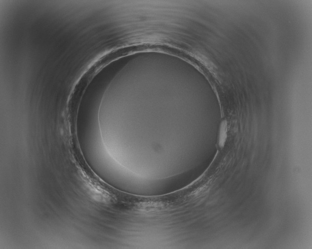 X0000076381118200610061117