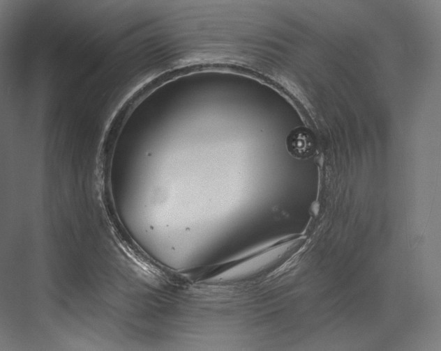 X0000076381119200610061117