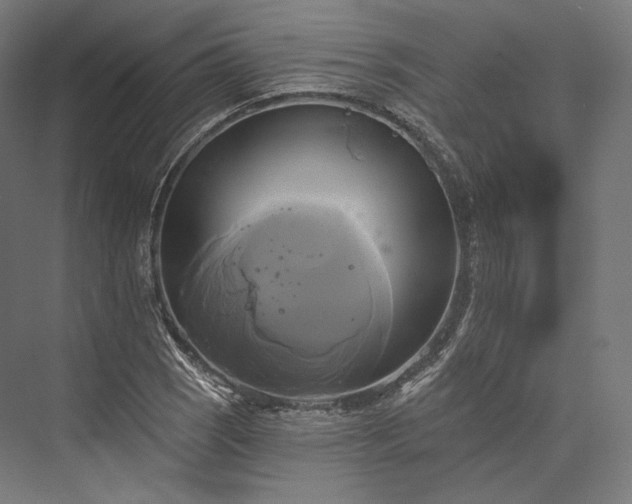 X0000076381121200610061117