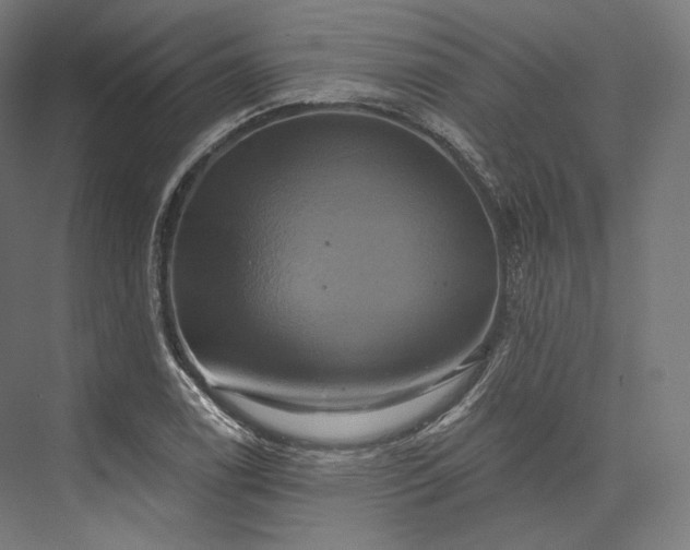 X0000076381122200610061117