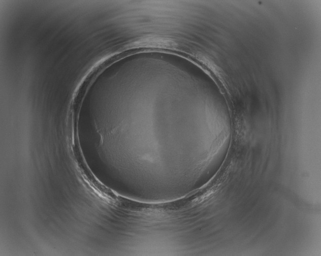 X0000076381123200610061117