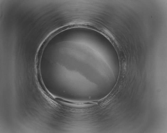 X0000076381124200610061117