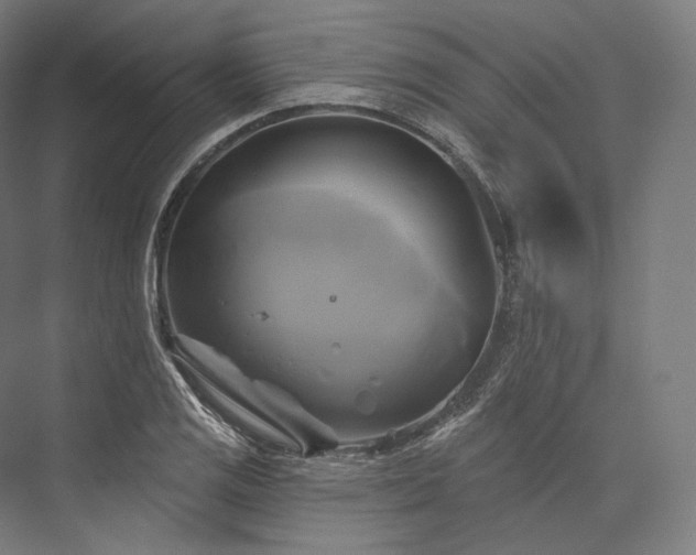 X0000076381125200610061117