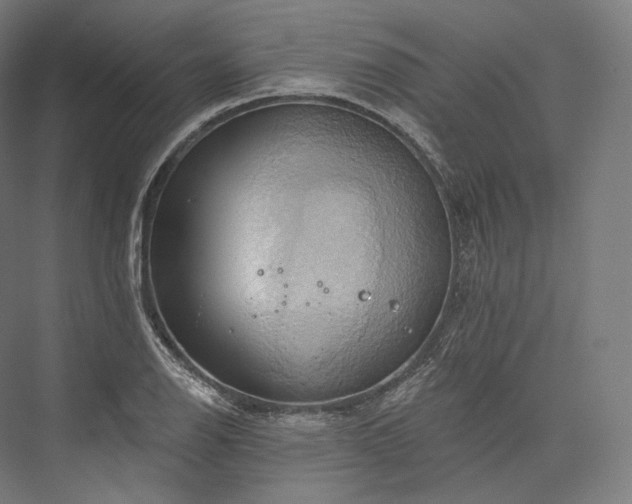 X0000076381126200610061117