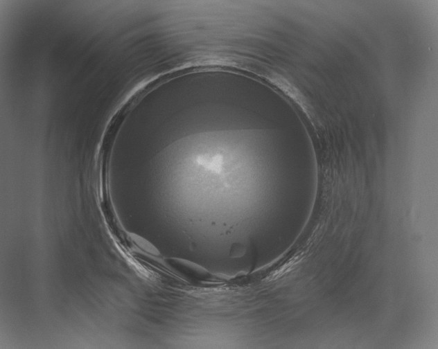 X0000076381127200610061117