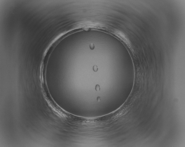 X0000076381128200610061117