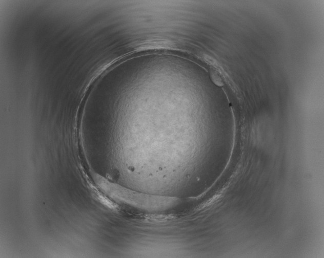 X0000076381129200610061117