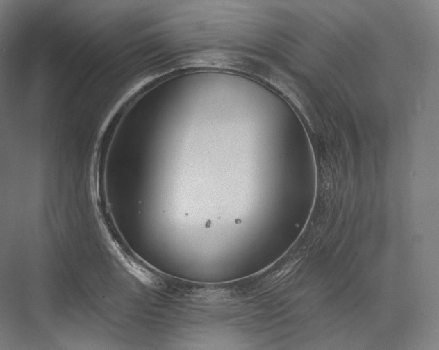 X0000076381131200610061117