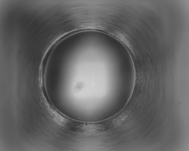 X0000076381132200610061117