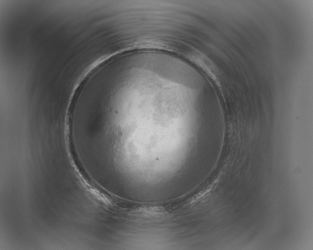 X0000076381133200610061117