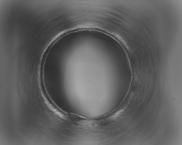 X0000076381134200610061117