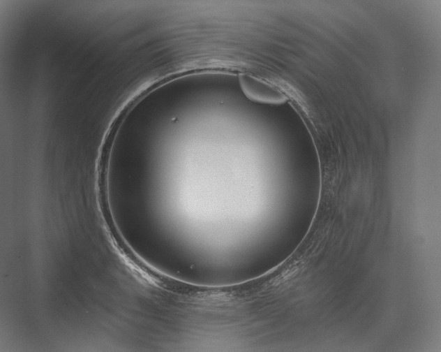 X0000076381135200610061117