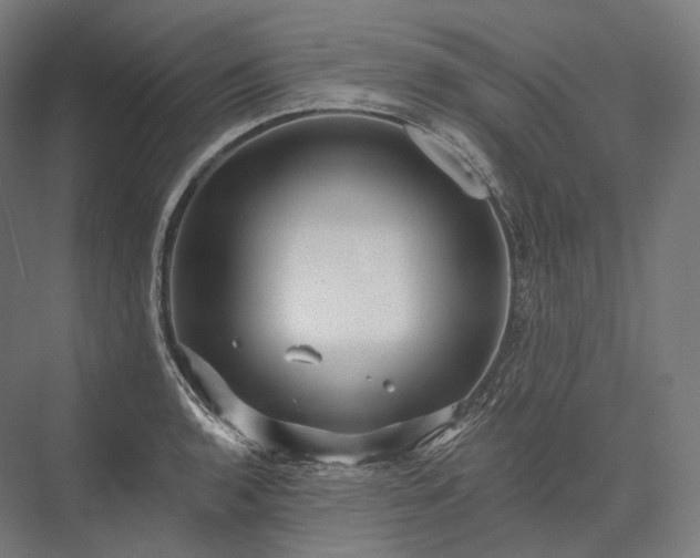 X0000076381136200610061117