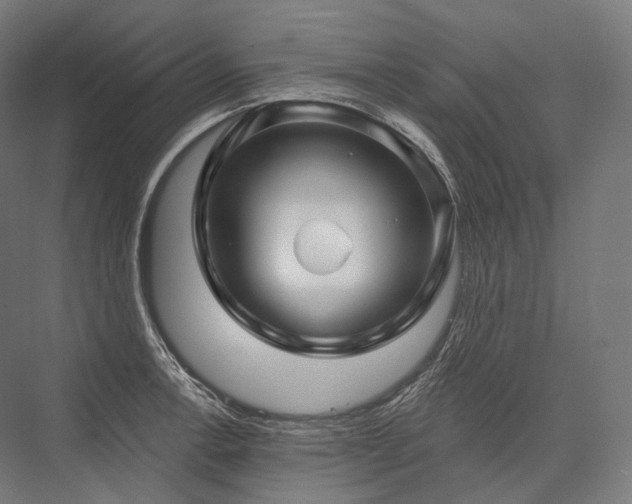 X0000076381138200610061118