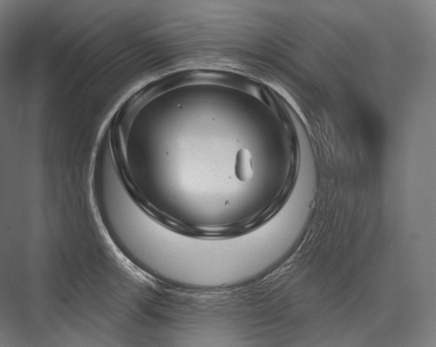 X0000076381139200610061118