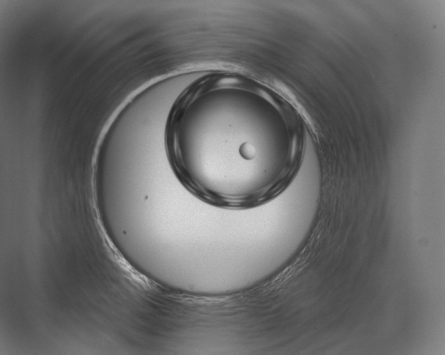 X0000076381140200610061118