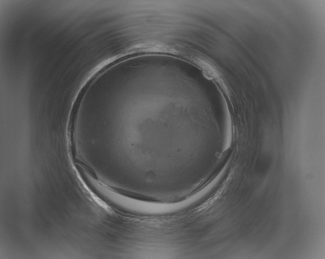 X0000076381141200610061118