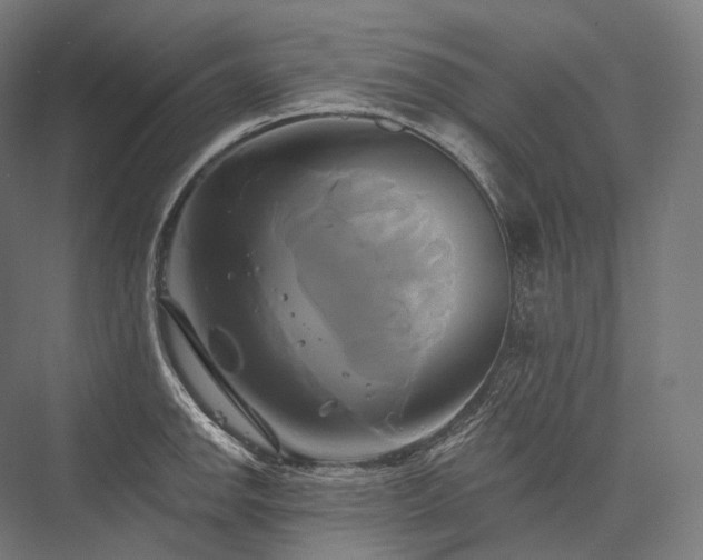 X0000076381142200610061118