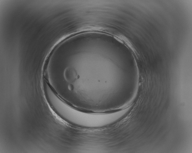 X0000076381143200610061118