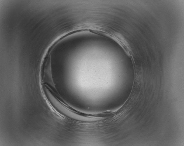 X0000076381144200610061118