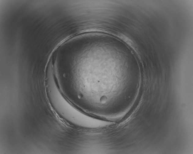 X0000076381145200610061118