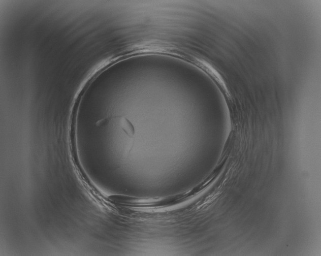 X0000076381146200610061118