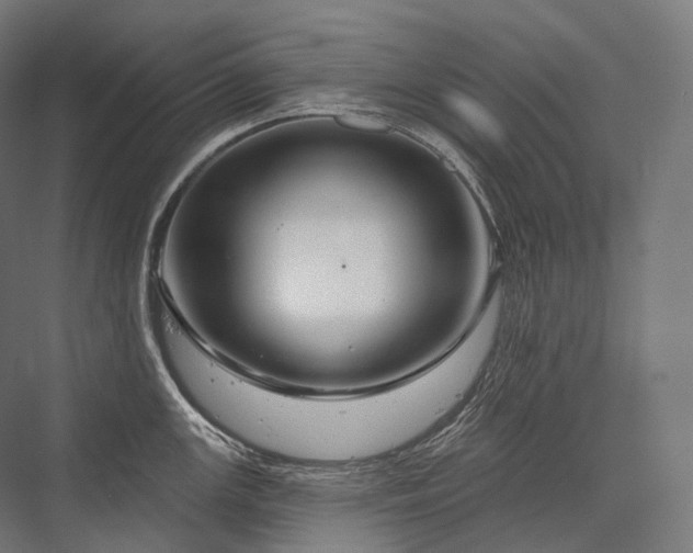 X0000076381147200610061118