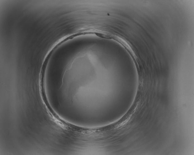 X0000076381149200610061118