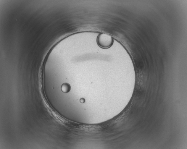 X0000076381150200610061118