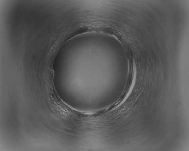 X0000076381153200610061117