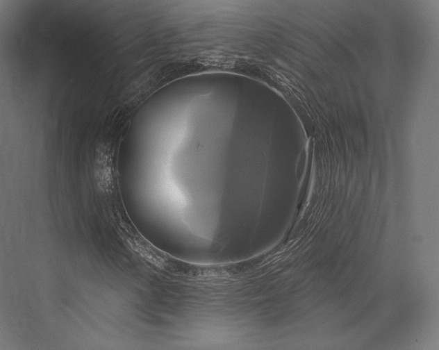 X0000076381154200610061117