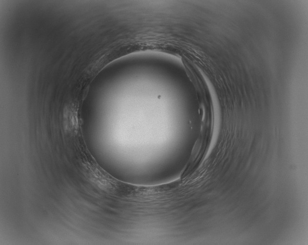 X0000076381155200610061117