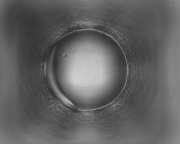 X0000076381157200610061117