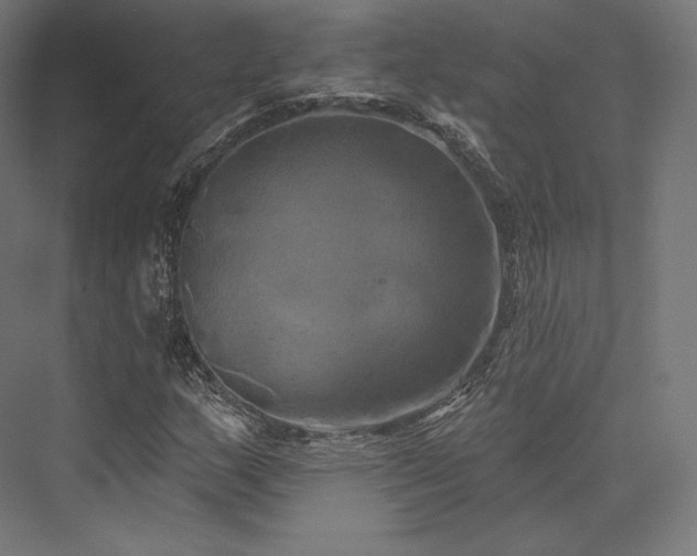 X0000076381159200610061117