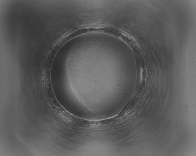 X0000076381160200610061117