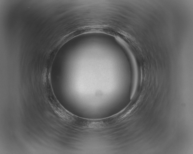 X0000076381161200610061117