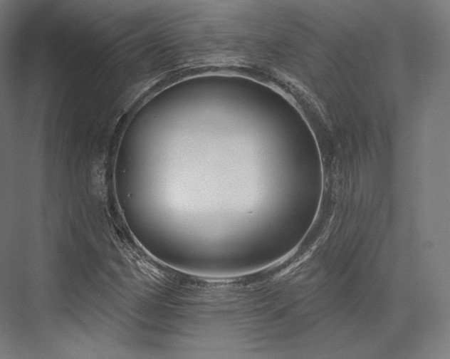 X0000076381162200610061117