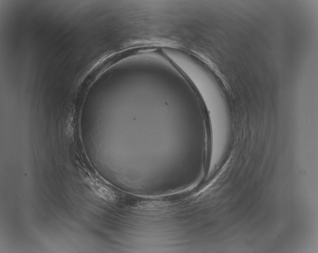 X0000076381163200610061117