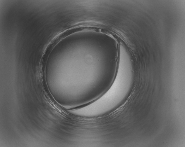 X0000076381164200610061117