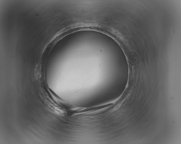 X0000076381165200610061117