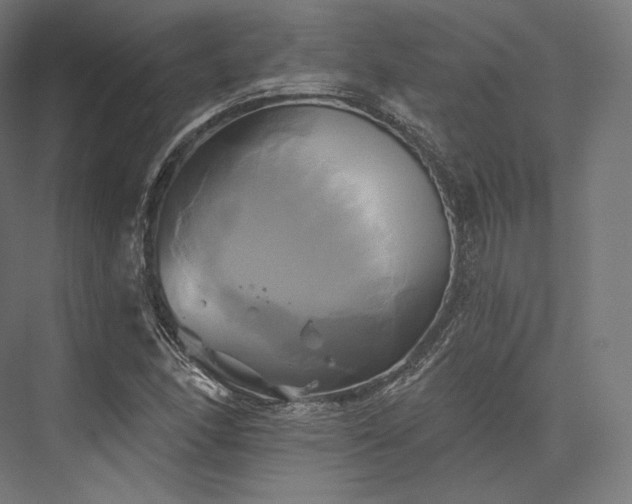 X0000076381166200610061117