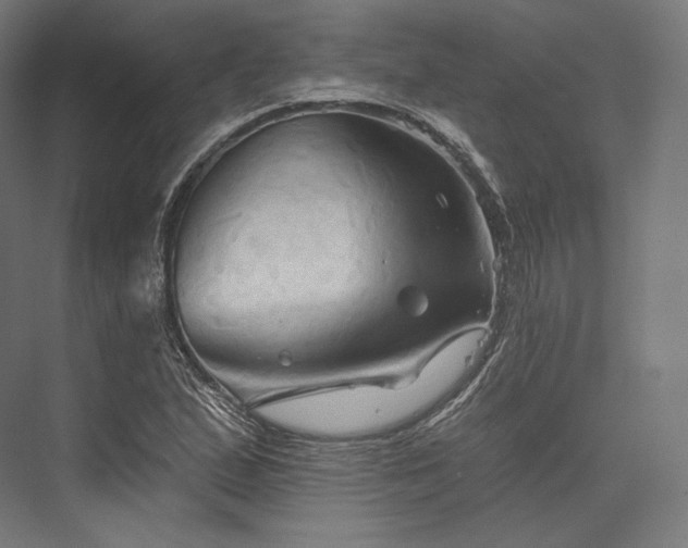 X0000076381167200610061117