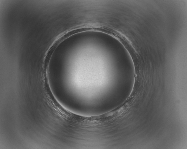 X0000076381168200610061117