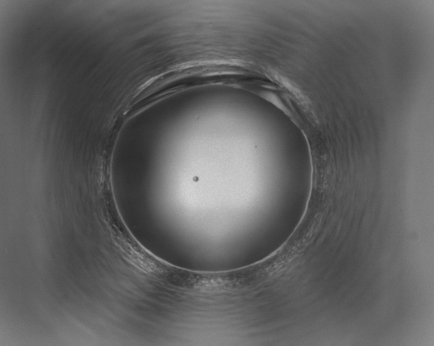 X0000076381169200610061117