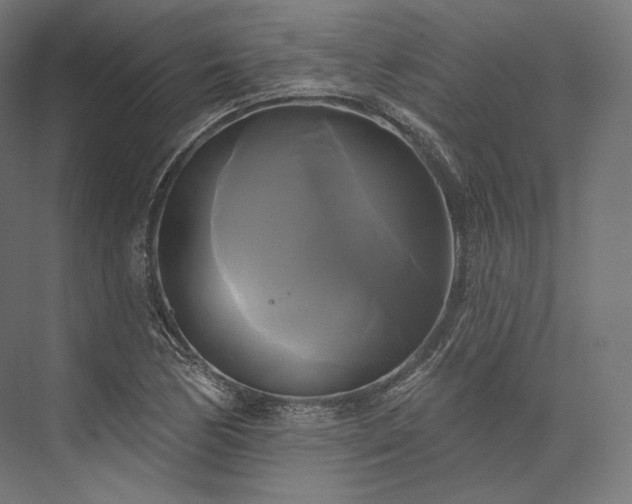 X0000076381170200610061117